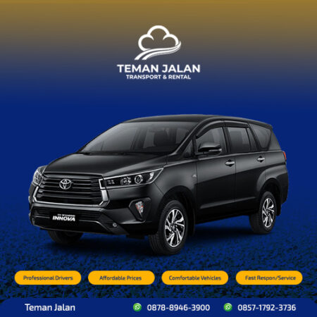 innova reborn 2019